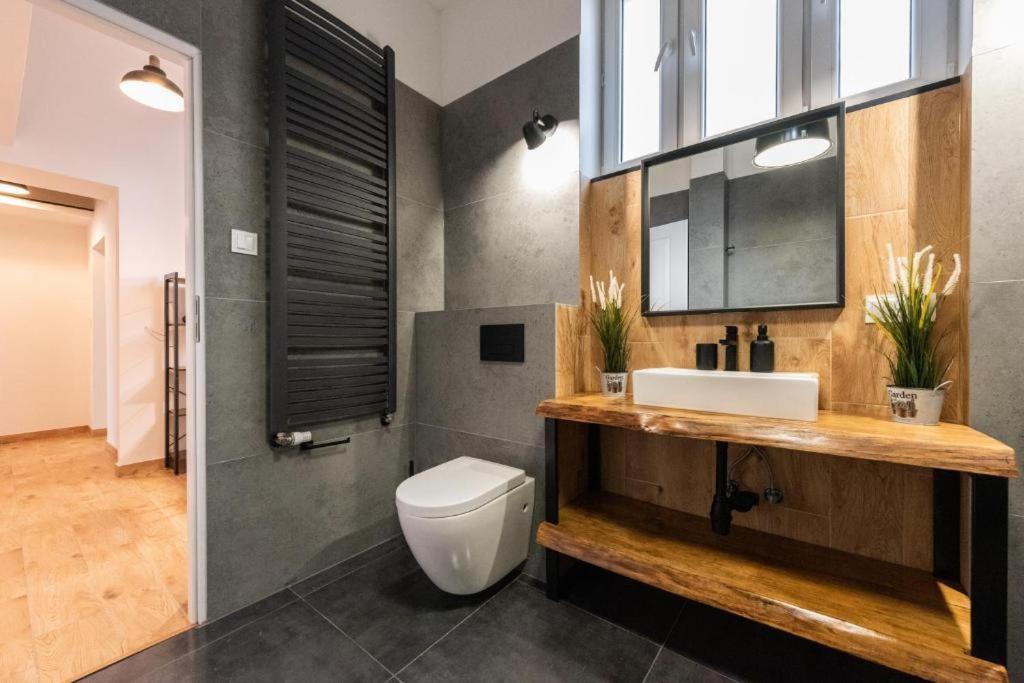 Apartmán Apartament Loft Bílsko-Bělá Exteriér fotografie